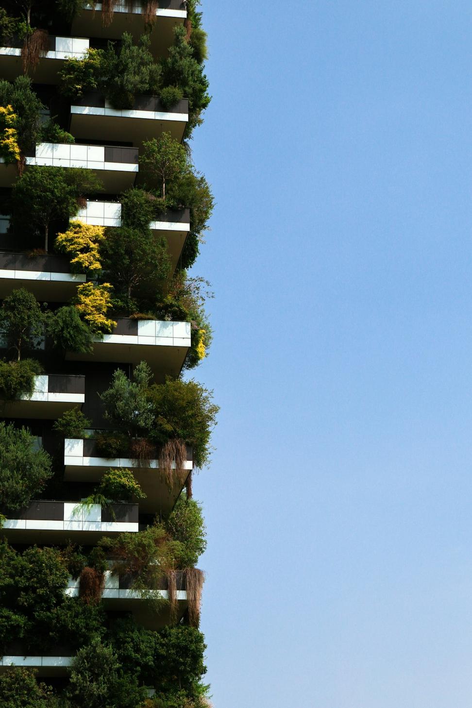 Eco-Friendly Home