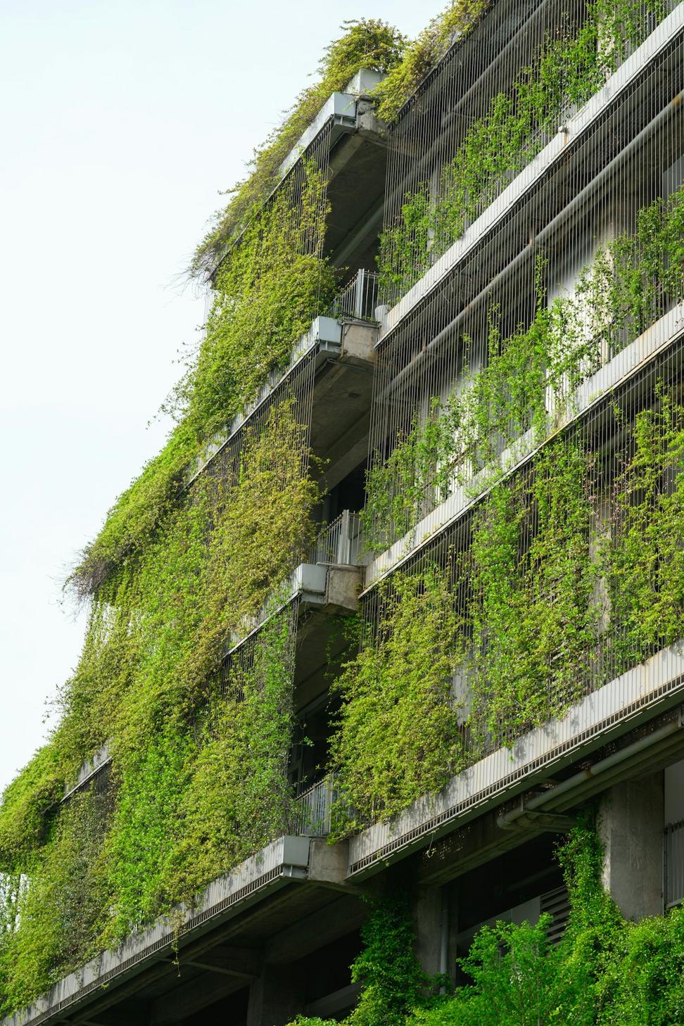 Eco-Friendly Home